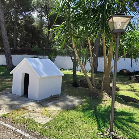 Casa rural Pinar de la Plata-3